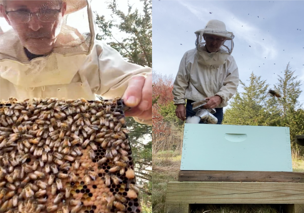 View of Stay Healthy With Local Honey