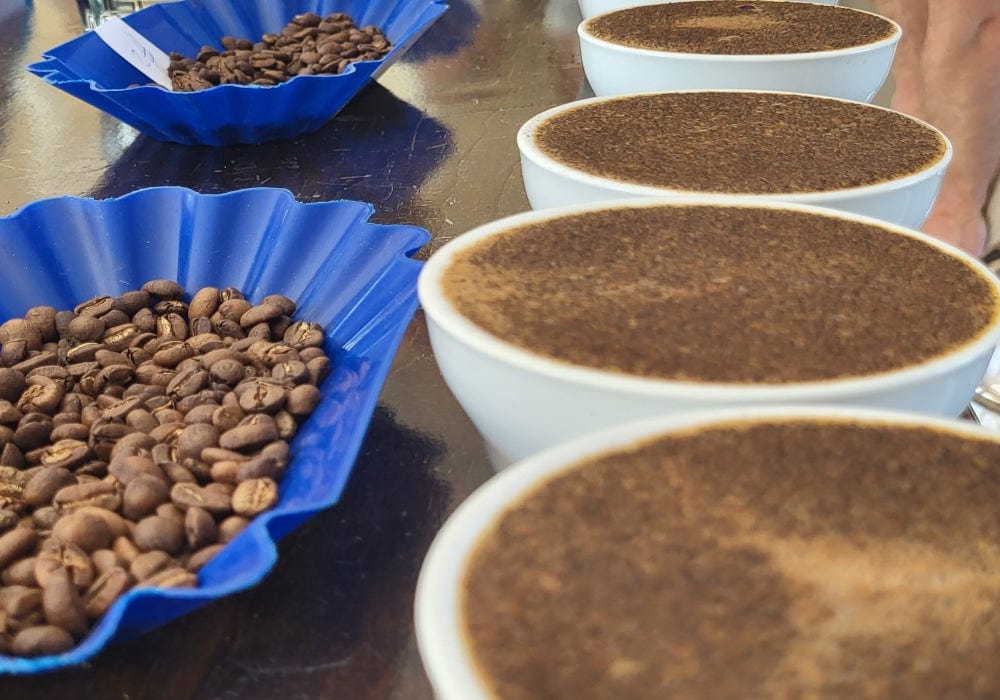 Unlocking the Perfect Brew: Why Your Home Coffee Deserves Locally-Roasted Beans